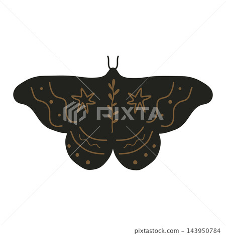Mystical moth illustration with star and botanical branch pattern on white background 143950784