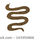 Mystical snake illustration with esoteric symbols, stars, eye, and botanical patterns on white background 143950866