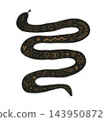 Mystical snake illustration with esoteric symbols, stars, eye, and botanical patterns on white background 143950872