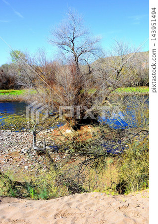 Salt River Recreation Area Arizona Salt River Recreation Area Arizona 143951494