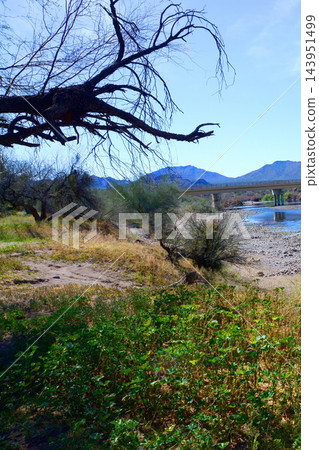 Salt River Recreation Area Arizona 143951499