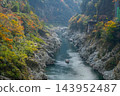 德島縣大步危峽的秋葉美景及觀光船 143952487