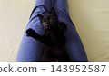 Male owner playing with cute black kitten lying on his legs at home. Man having fun with pretty domestic kitty at sofa. Concept of care and love to animal. POV 143952587