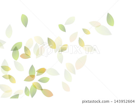 Summer background with flying green leaves on white background Summer background with flying green leaves on white background 143952604