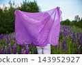 Woman holding a flowing purple fabric in a field of vibrant lavender flowers on a sunny day 143952927