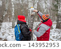 Two people in winter clothing work together to gather maple sap from a tree in a snowy forest setting 143952953