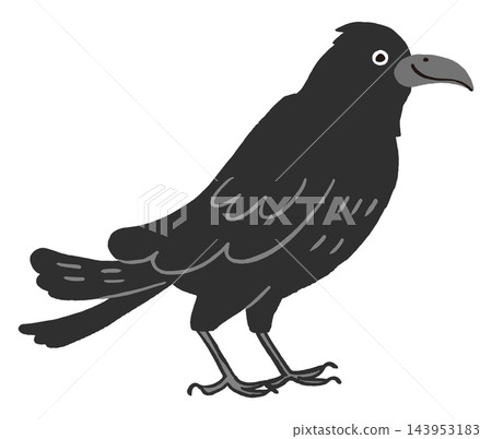 A crow facing sideways - a simple hand-drawn illustration 143953183