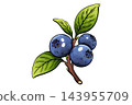 Watercolor blueberry branch with ripe blue berries and green leaves 143955709