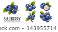 Blueberry fruit collection features blue berries and green foliage 143955714