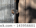 Weathered vintage metal folding gate with rivets, rusted latch, and dramatic chiaroscuro shadow. 143956601