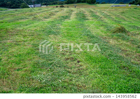 割草後的一片寬闊田野。 割草後的一片寬闊田野。 143958562