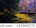 Autumn foliage on the mountains and the Dakigaeri Valley 143958772