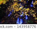 Autumn foliage on the mountains and the Dakigaeri Valley 143958776