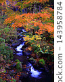 Autumn foliage on the mountains and the Dakigaeri Valley 143958784
