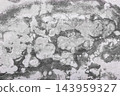 Old dirty gray concrete wall abstract cement pattern texture background structure backdrop grey 143959327