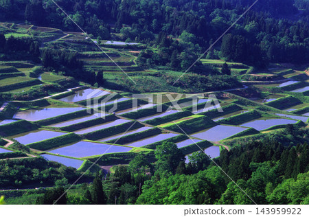 梯田倒映著藍天 梯田倒映著藍天 143959922