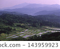 清晨，從米山遠眺梯田稻田的景色。 143959923