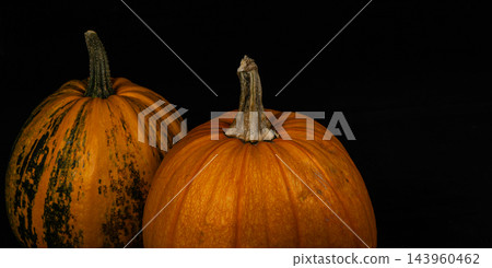Pumpkins in autumn for Halloween celebration and seasonal decoration Pumpkins in autumn for Halloween celebration and seasonal decoration 143960462