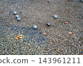 Petanque 143961211
