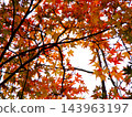 Autumn leaves 143963197