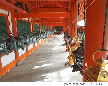 春日神社釣魚燈籠 春日神社釣魚燈籠 143963306