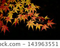 秋葉上色紅色 143963551
