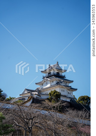 在蔚藍的春日天空下,掛川城的天守閣格外醒目。 在蔚藍的春日天空下,掛川城的天守閣格外醒目。 143963553
