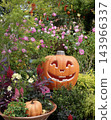 Halloween decorations 143966337