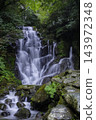 Beautiful Shiraito Waterfall, a popular tourist spot in Itoshima (Itoshima City, Fukuoka Prefecture) 143972348