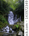 Beautiful Shiraito Waterfall, a popular tourist spot in Itoshima (Itoshima City, Fukuoka Prefecture) 143972349