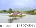 春天，滋賀縣日野町日野川水壩浮島上盛開的重瓣櫻花。 143974541