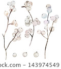 Watercolor white winter berries on brown branches clipart. Isolated illustration for Christmas cards 143974549