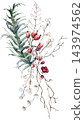 Christmas bouquet with watercolor berries, branches and leaves. Winter isolated illustration 143974562