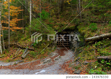 wood land closed cave interesting place autumn environment space wood land closed cave interesting place autumn environment space 143976330