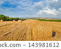 Scenic rural landscape of harvested field with straw bales stretching to hills in horizontal orientation with copy space 143981612