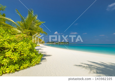 Picturesque lush green palm island powdery white shore vivid turquoise lagoon blue sky bright paradise. Family beach holiday summer fun. Sunny tropical island wallpaper 143982105