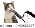 Singing cat at the microphone isolated on white background 143982347
