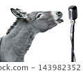 donkey during  sings into a microphone isolated on a white background 143982352