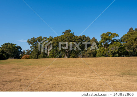 藍天下,夢之島公園的草坪和樹木。日本東京江東區 藍天下,夢之島公園的草坪和樹木。日本東京江東區 143982906