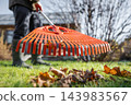 Man raking fallen leaves with orange plastic rake in autumn yard 143983567