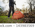 Man raking fallen leaves with orange garden rake in autumn yard 143983569
