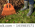 Orange leaf rake and rubber boots during autumn garden cleanup 143983571