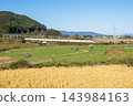 [Yamagata Shinkansen] The Limited Express Tsubasa passes through the autumn countryside of Niwasaka. 143984163