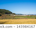 [Yamagata Shinkansen] The Limited Express Tsubasa passes through the autumn countryside of Niwasaka. 143984167