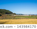 [Yamagata Shinkansen] The Limited Express Tsubasa passes through the autumn countryside of Niwasaka. 143984170