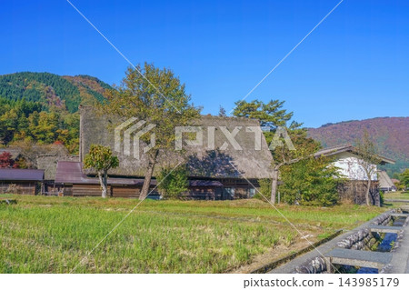 白川鄉保留日本的原始風貌，秋日里景色優美，紅葉絢麗，充滿懷舊氣息，是旅遊勝地。 143985179