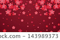 Red sakura flower background. Cherry blossom branch with sakura flower. Background with wild cherry flowers and petals in red colors 143989373