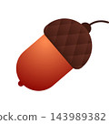 Autumn acorn isolated on white background. Cute brown acorn nut. Oak tree fruit. Autumn and thanksgiving icon 143989382