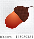 Autumn acorn isolated on white background. Cute brown acorn nut. Oak tree fruit. Autumn and thanksgiving icon 143989384