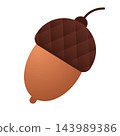 Autumn acorn isolated on white background. Cute brown acorn nut. Oak tree fruit. Autumn and thanksgiving icon 143989386